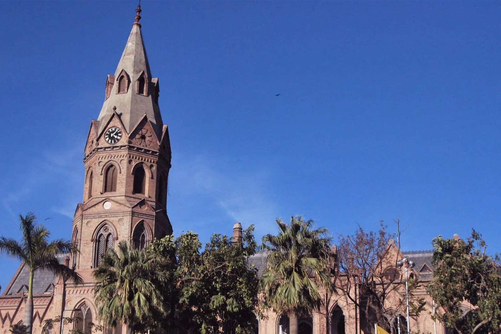 Government College University