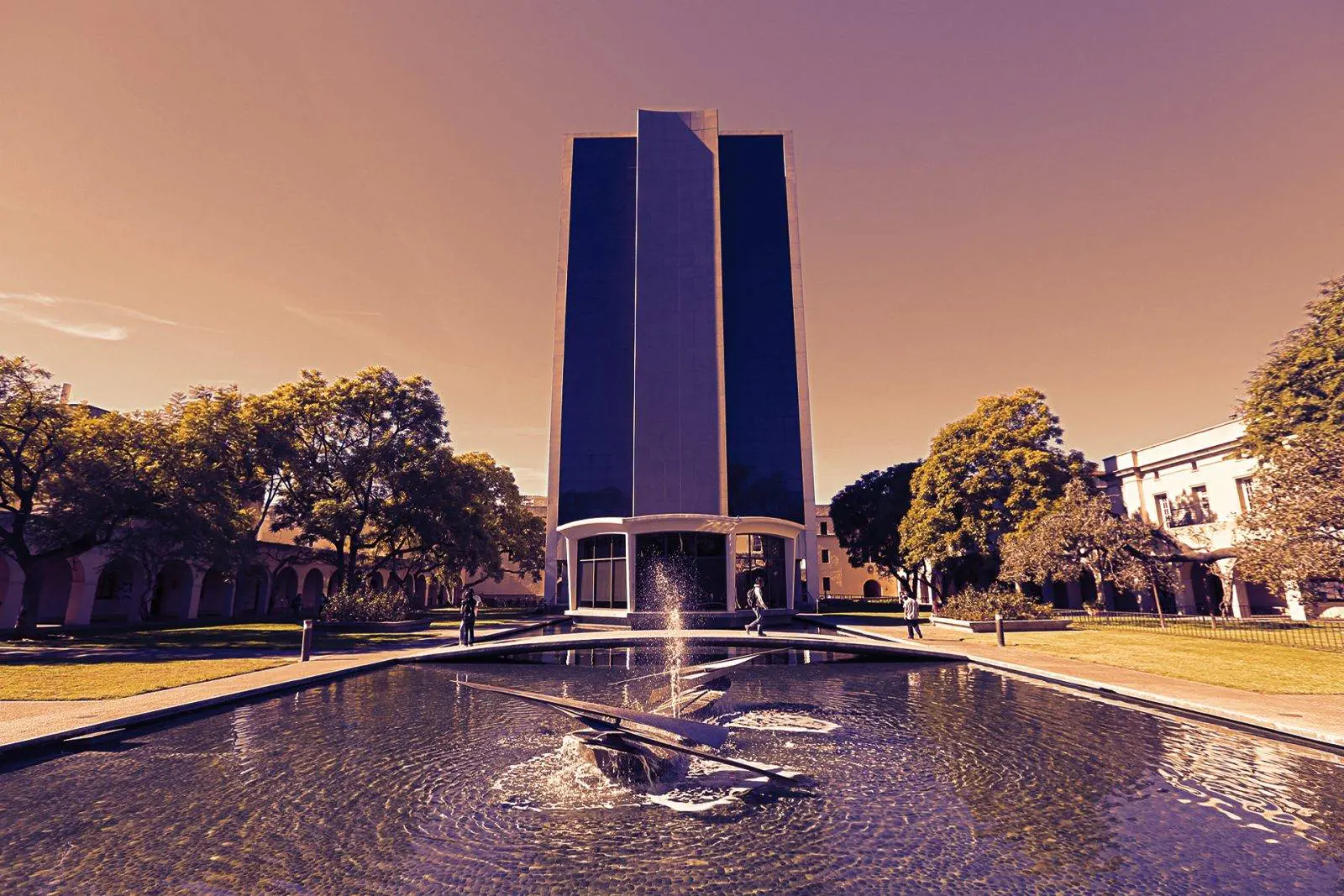 Get a Degree From These Universities