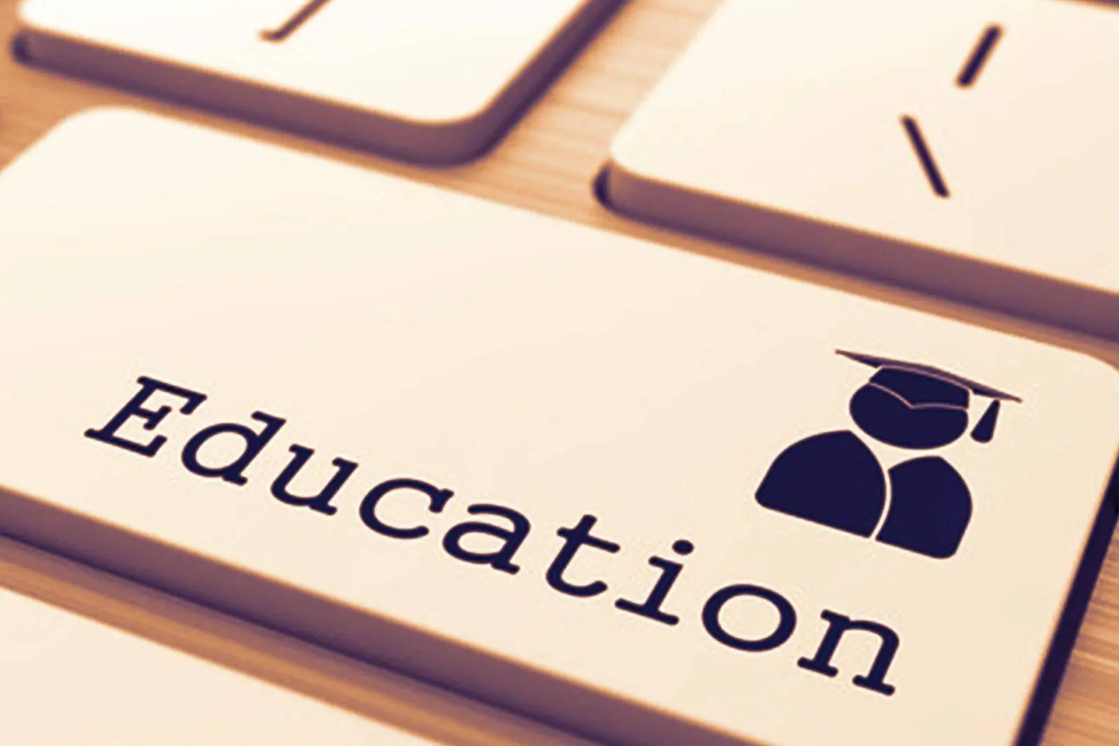 Education button: Think tank on higher education formed