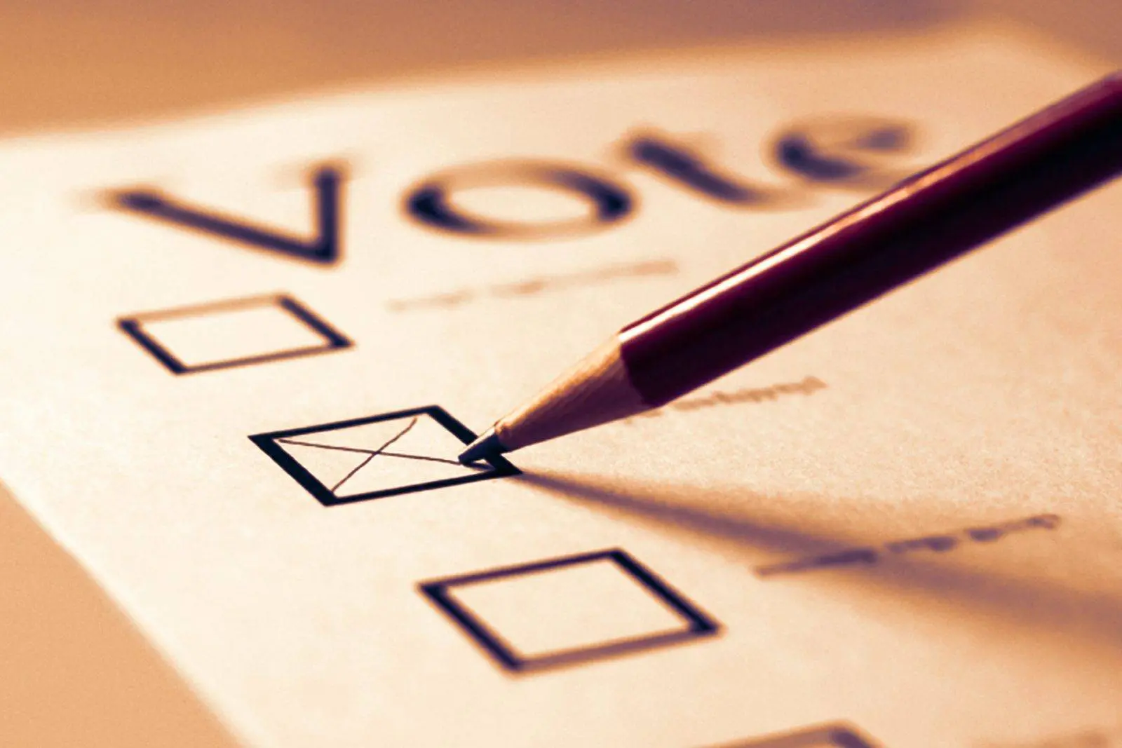 Vote Ballot: PU Syndicate elections held