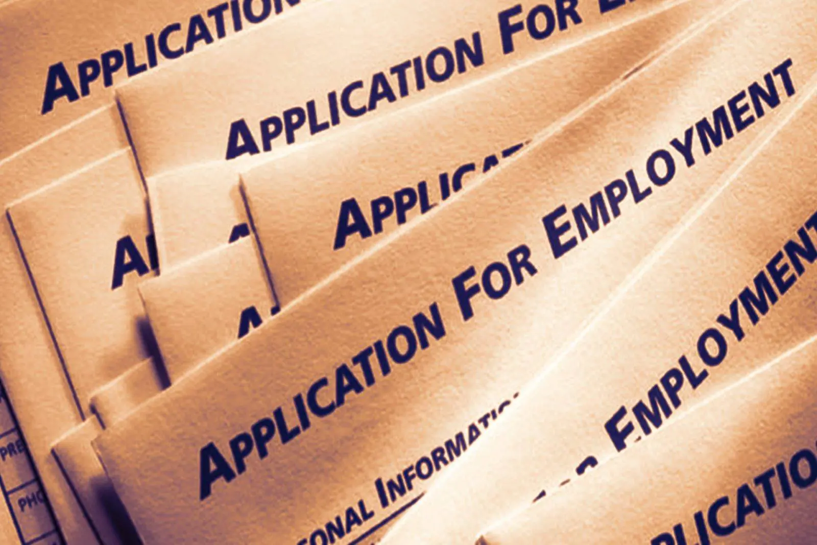 JOB APPLICATION FORM: Punjab govt forms search committees to appoint Vice Chancellors At Four Public Universities