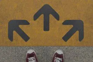 Study Programme You Really Like