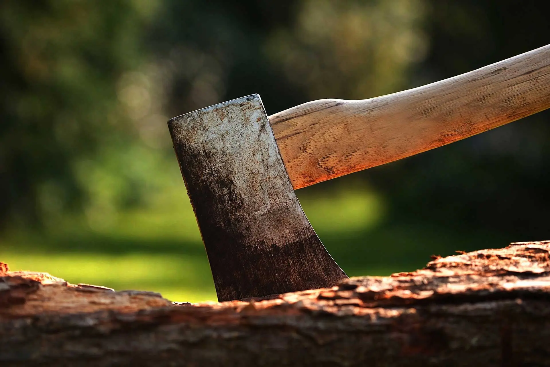 Punjab Education Budget