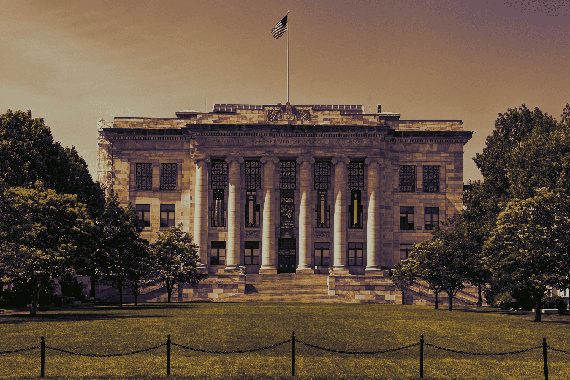 Top Medical Universities For 2019