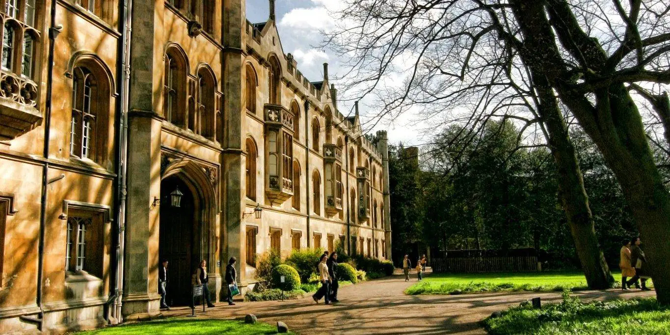 fewer British undergrad students at Oxford, Cambridge