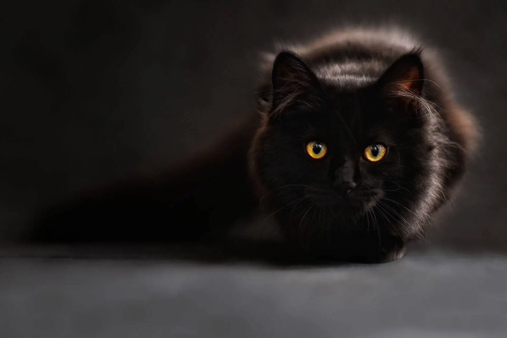 Popular Subcontinental Superstitions