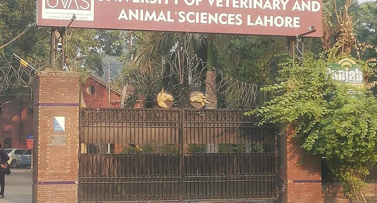 USAID delegation visits UVAS