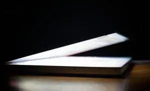 Can Universities Survive The Digital Age?