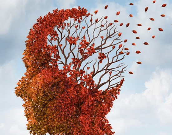 Technological Dementia: The ‘Perks’ Of Being On A Digital-Diet