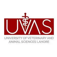 UVAS online exam policy