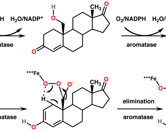 Nandrolone
