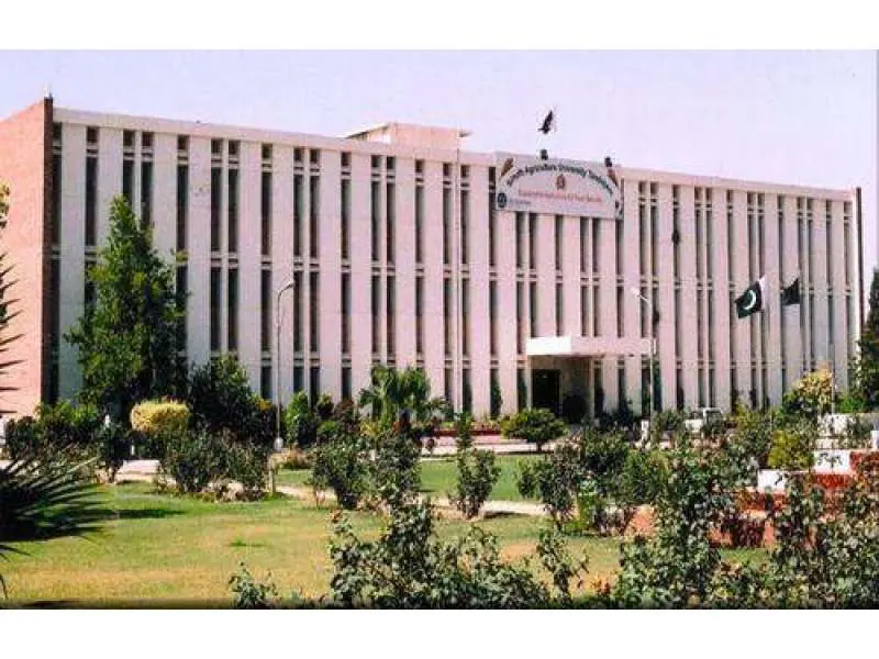 Sindh Agriculture University decides to introduce new degree courses