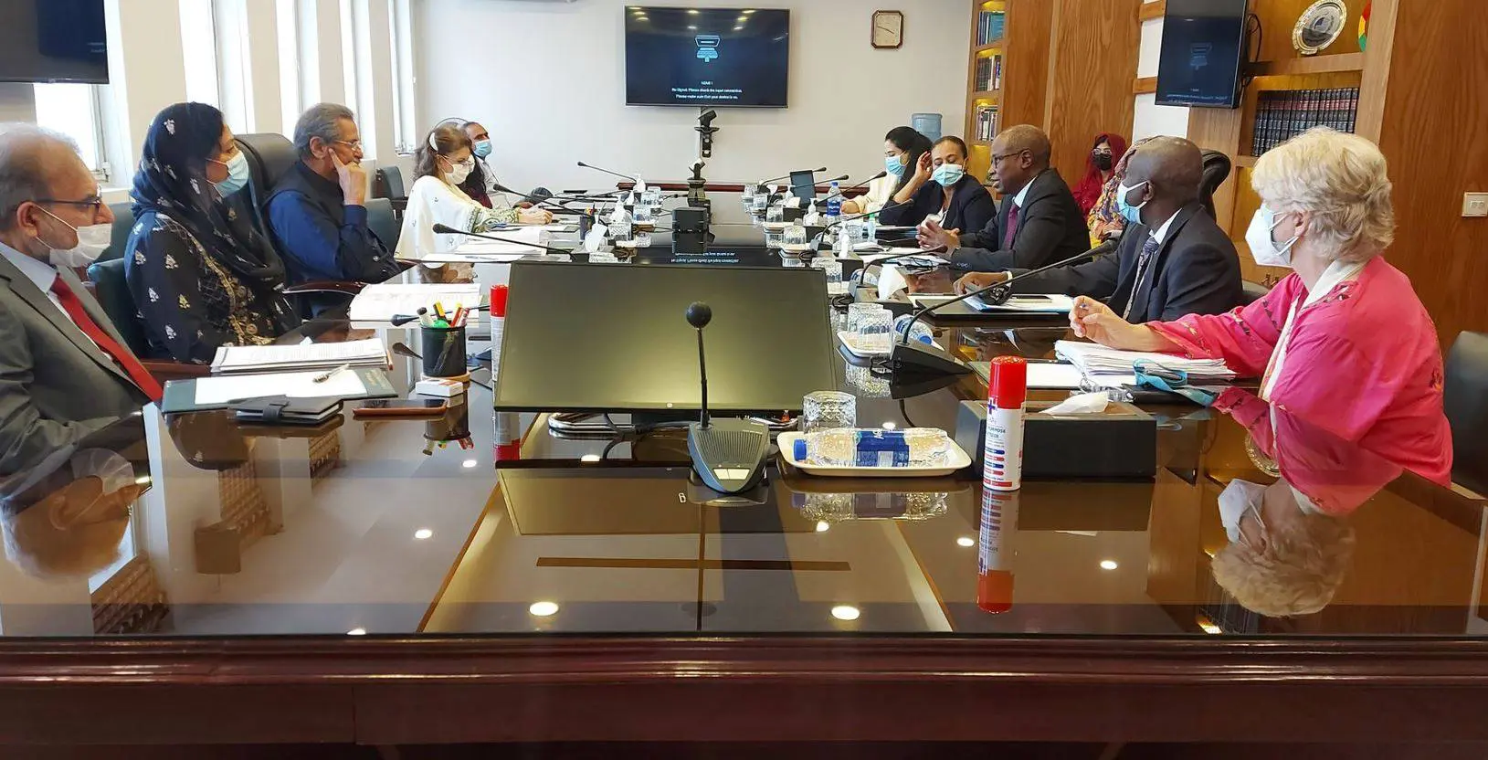 UNICEF delegation meets Shafqat Mahmood