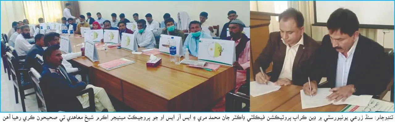 SAU inked MoU with Sindh Rural Support Organization
