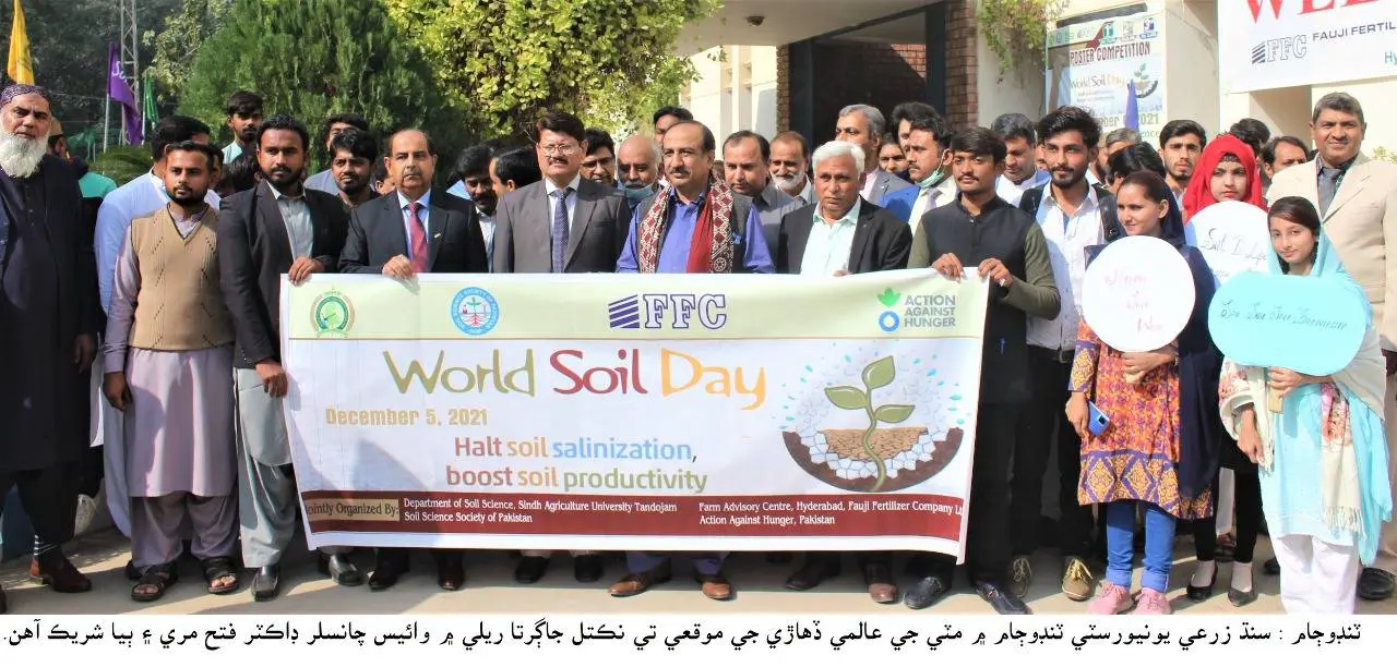 Soil salinity poses serious threat to food security in Sindh
