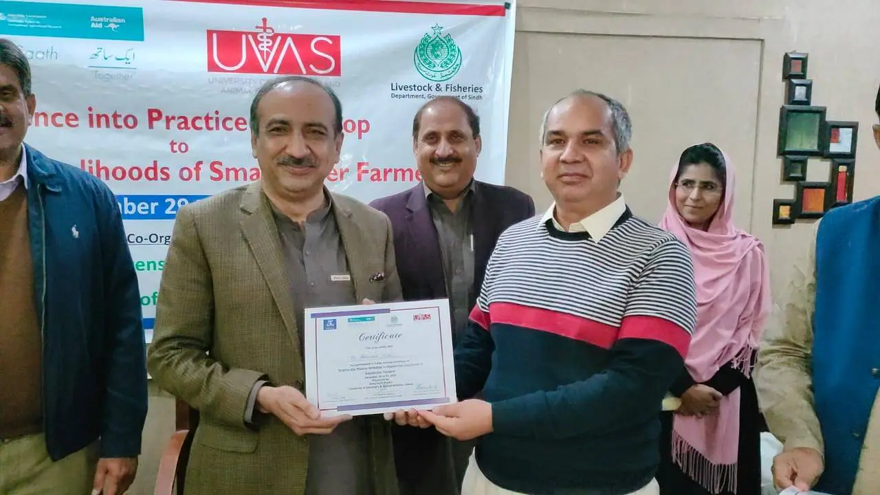 Farmers needs trainings to reap financial benefits from meat and milk