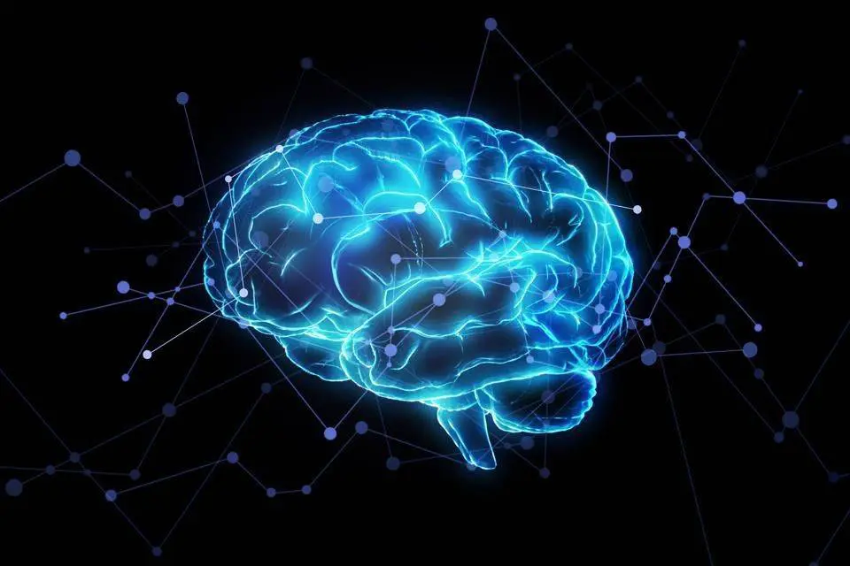 Myths about‌ ‌intelligence‌