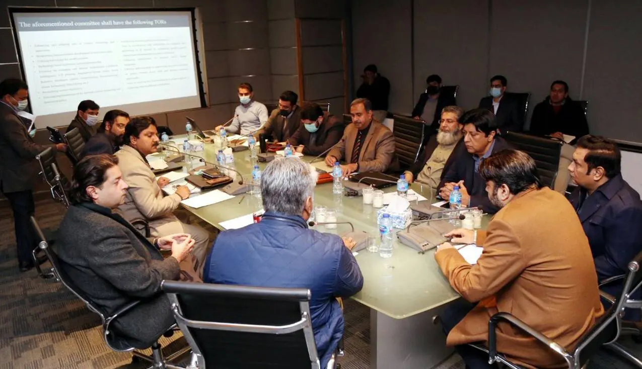 Youth have potential but no opportunities