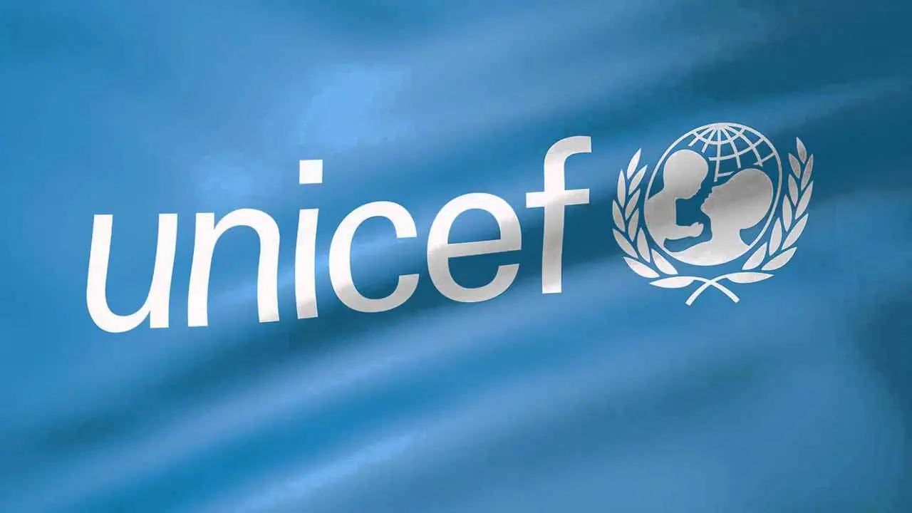 UNICEF and SELD launches digital application to monitor attendance at schools