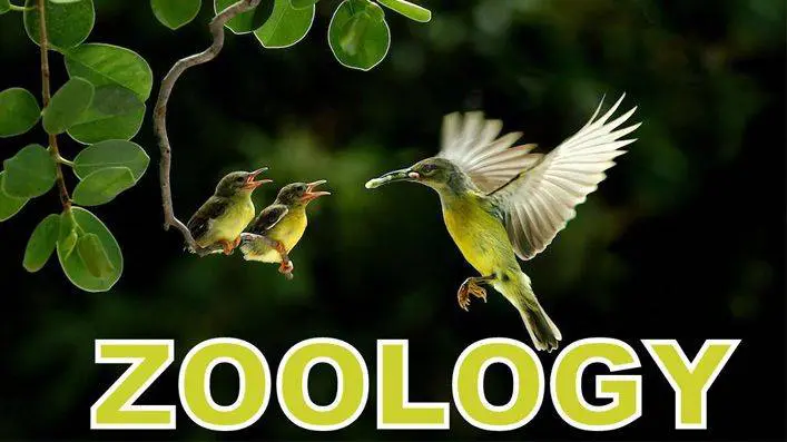 Zoology, Animals, GK, General Knowledge