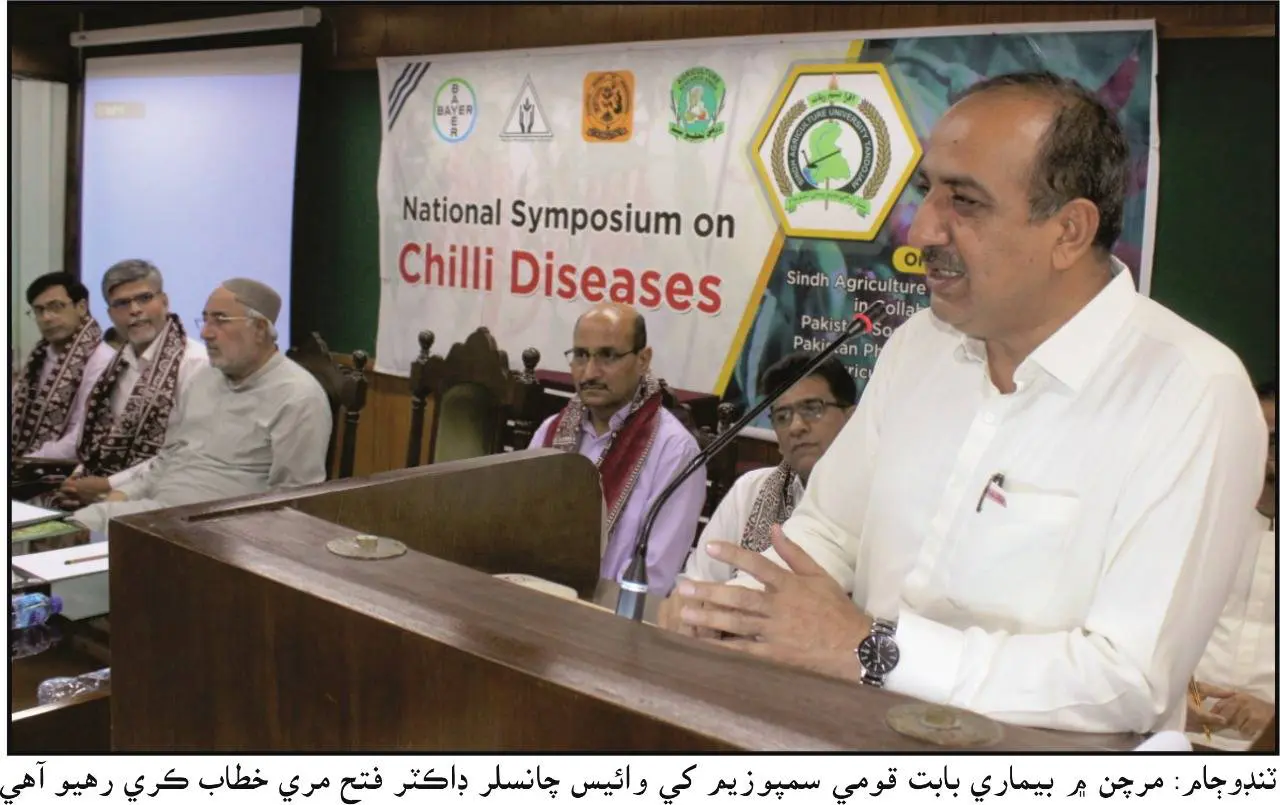 hybrid seeds damaged chilies