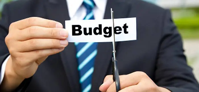 budget cut higher education