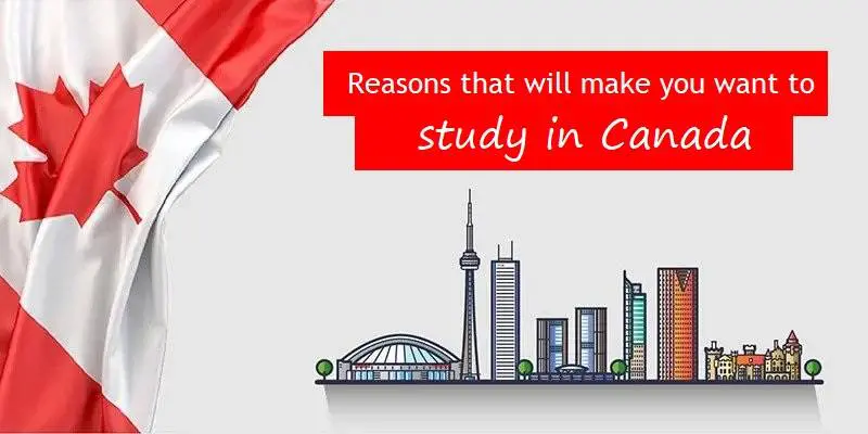Reasons that will make you want to study in Canada
