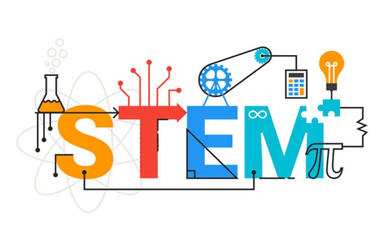Top STEM books for kids