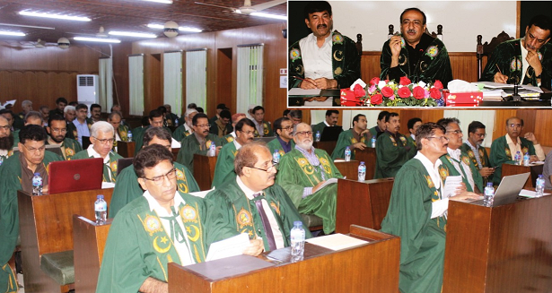 SAU academic council new programs