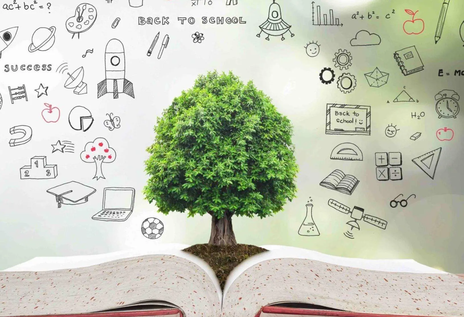 Encouraging educational quotes for students