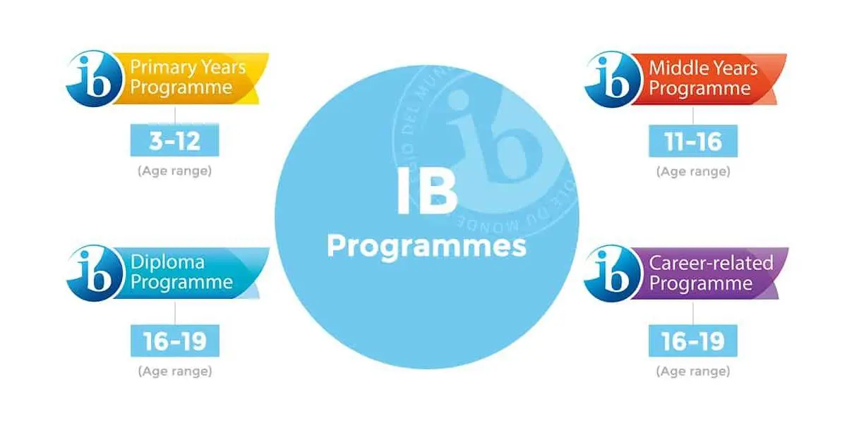 IB