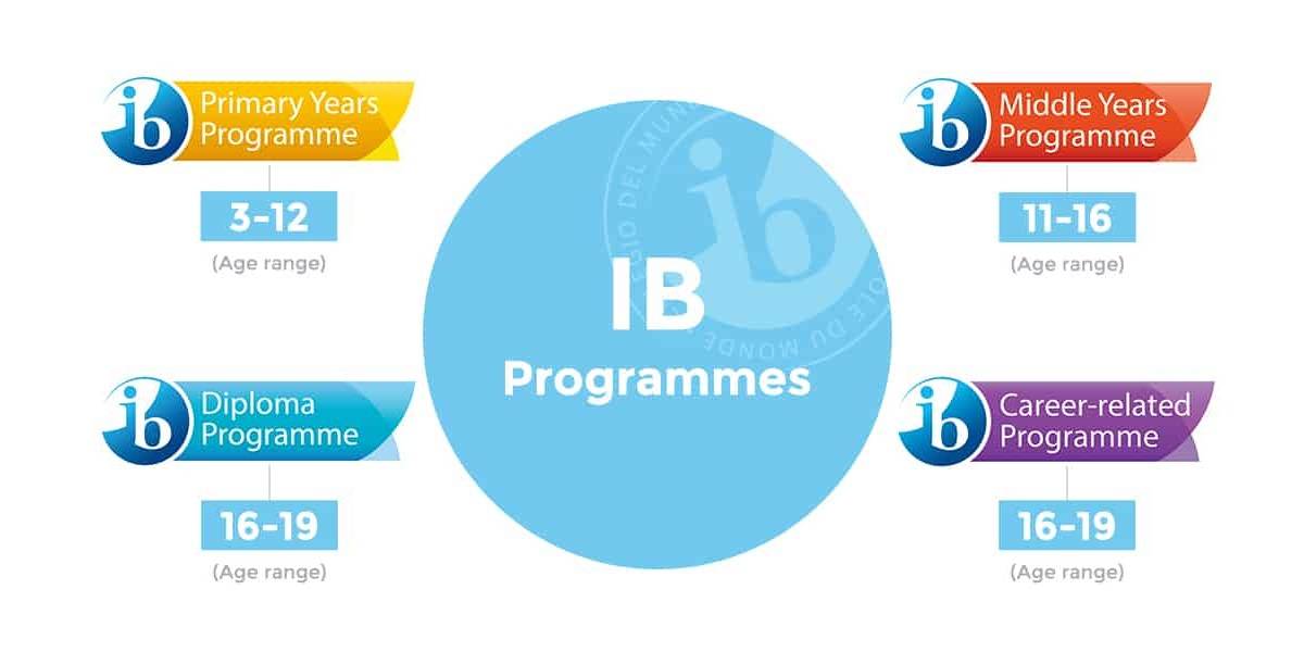 IB System To Diversify Our Academic System & Workforce | Academia Magazine