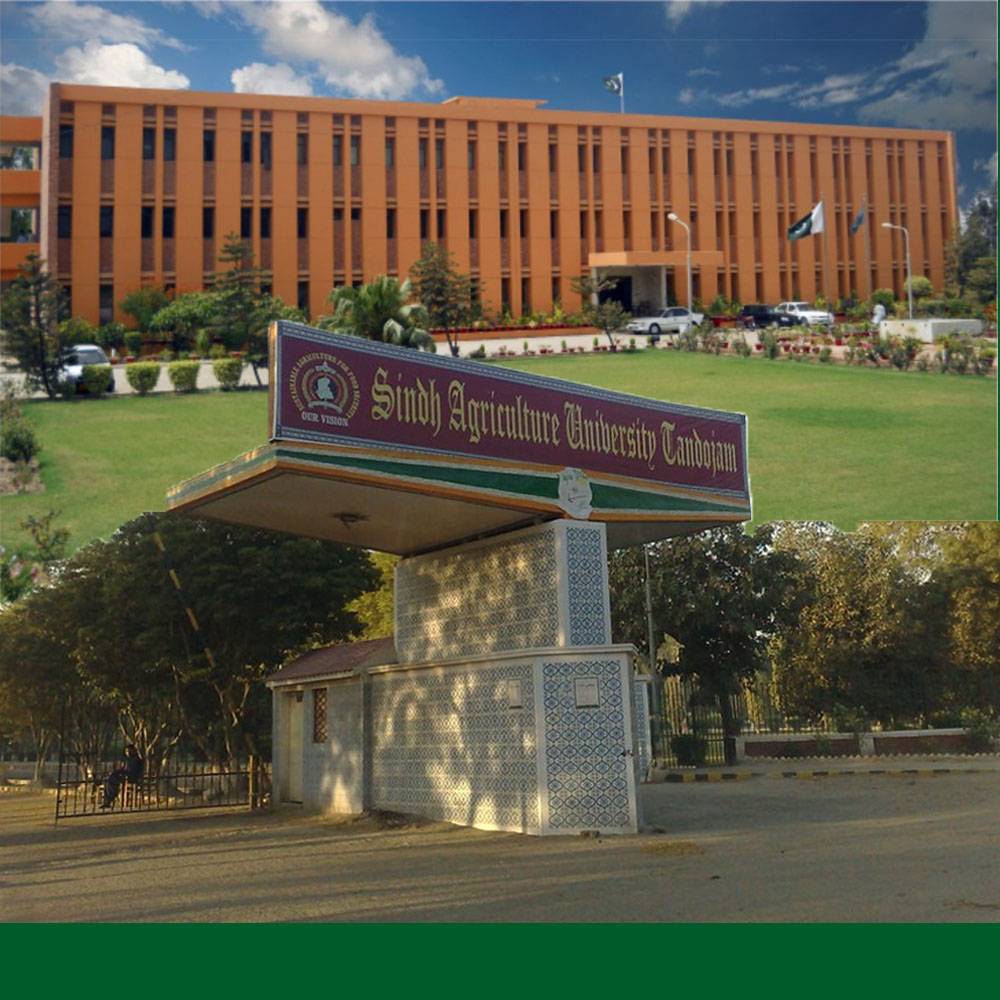 SAU students scholarships