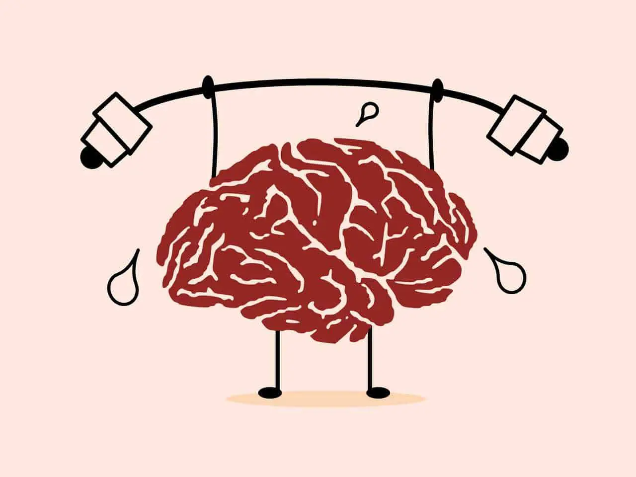 Brain exercises for students