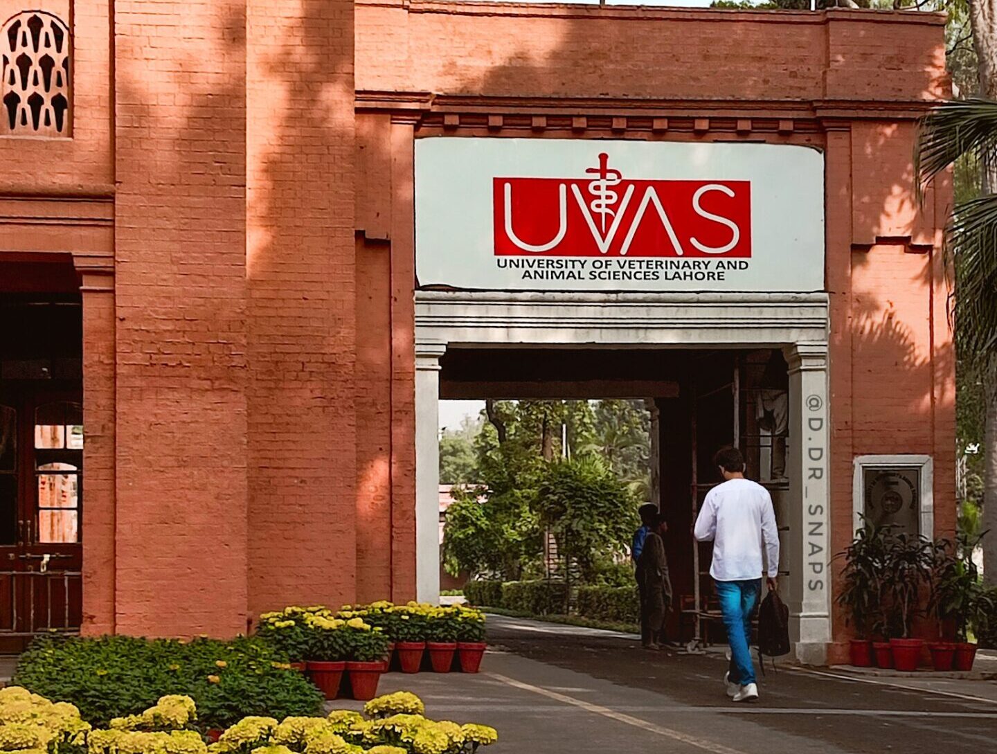 UVAS won five competitive research funding projects from PARB