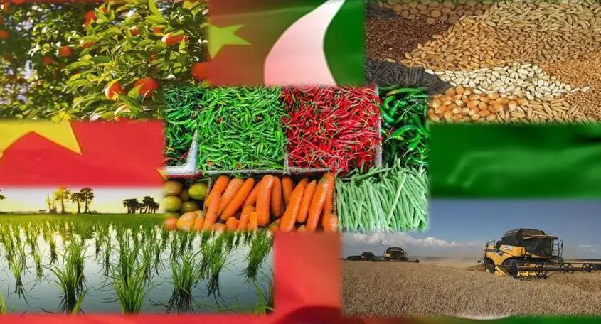 CPEC cooperation