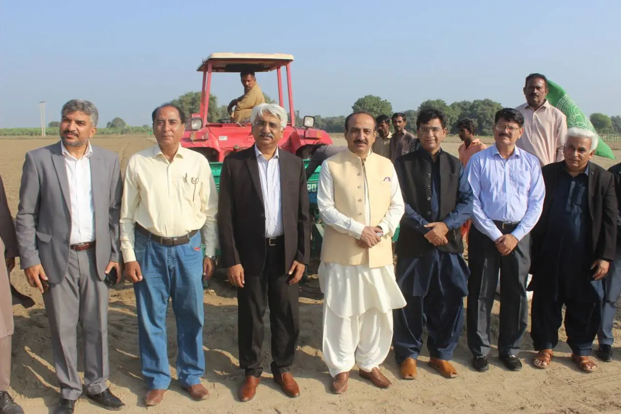 SAU and UBL research project