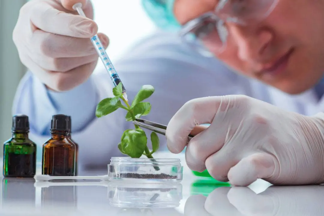 Best Universities for Biotechnology in Pakistan