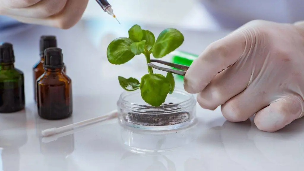 Scope of Biotechnology in Pakistan