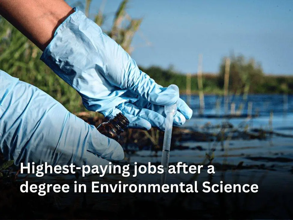 Highest-paying jobs after a degree in Environmental Science