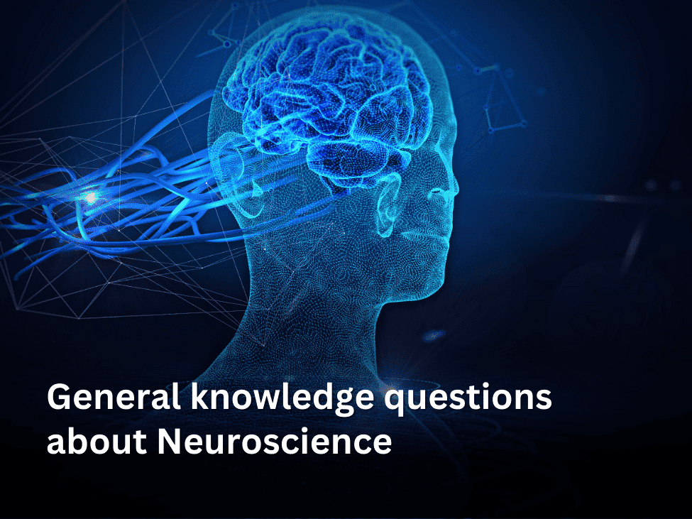 General knowledge questions about Neuroscience