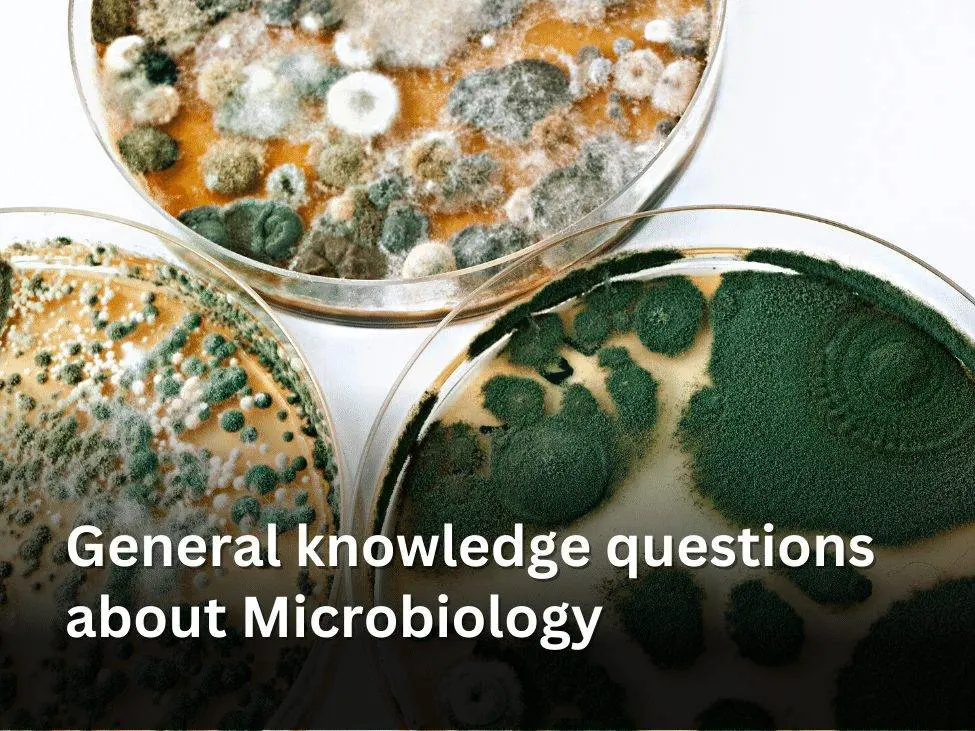 General knowledge questions about Microbiology
