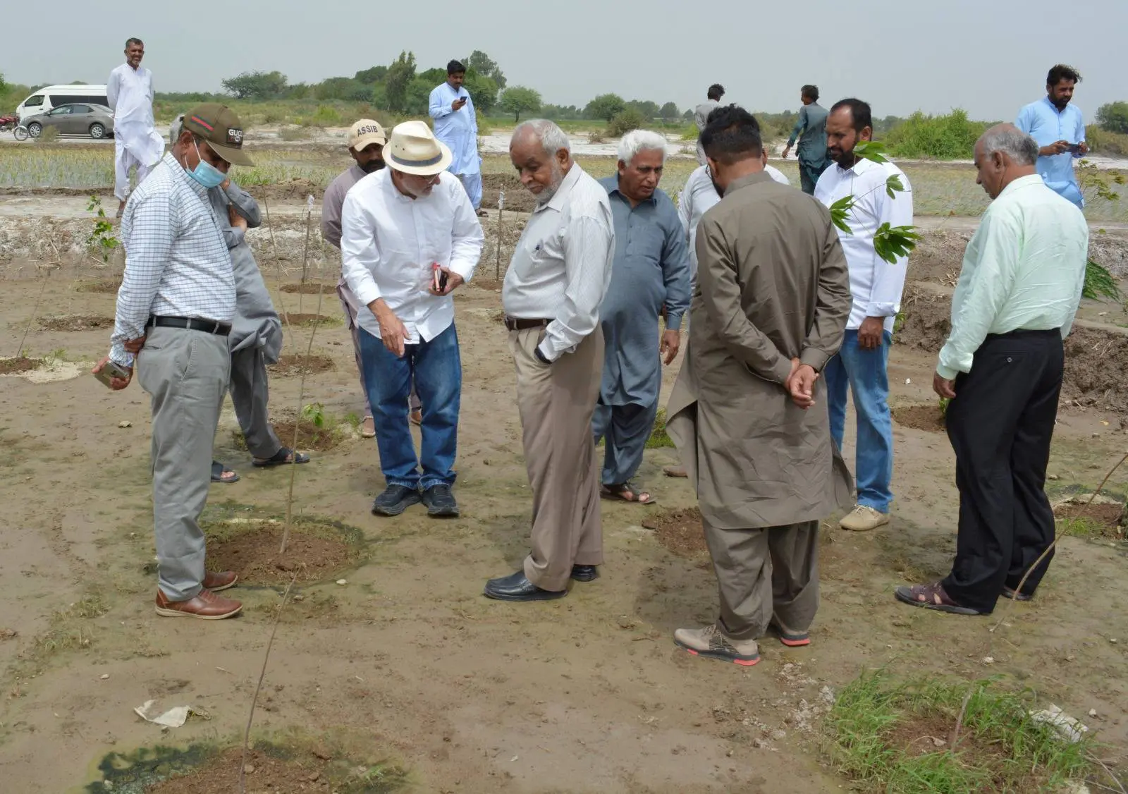 live with salinity SAU