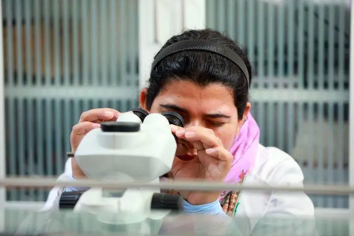 Pakistani Postdoc Aims to Elevate Pakistan's Grain Production Using Chinese Agricultural Technology