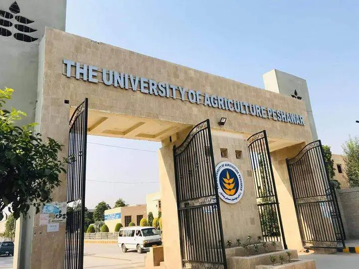 KP universities closure