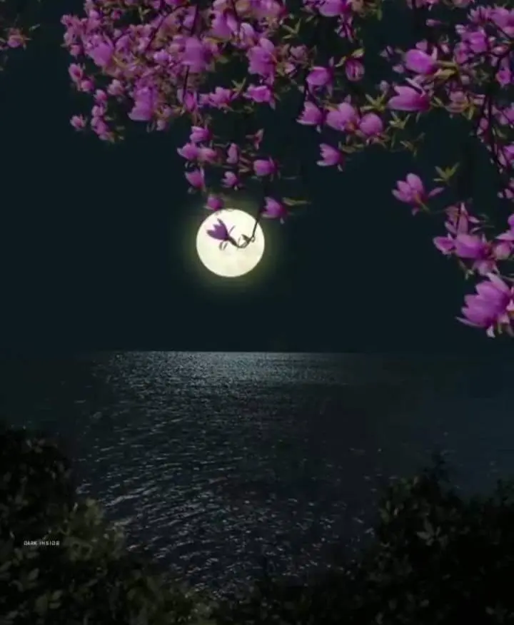 Projection of Psyche or Perception