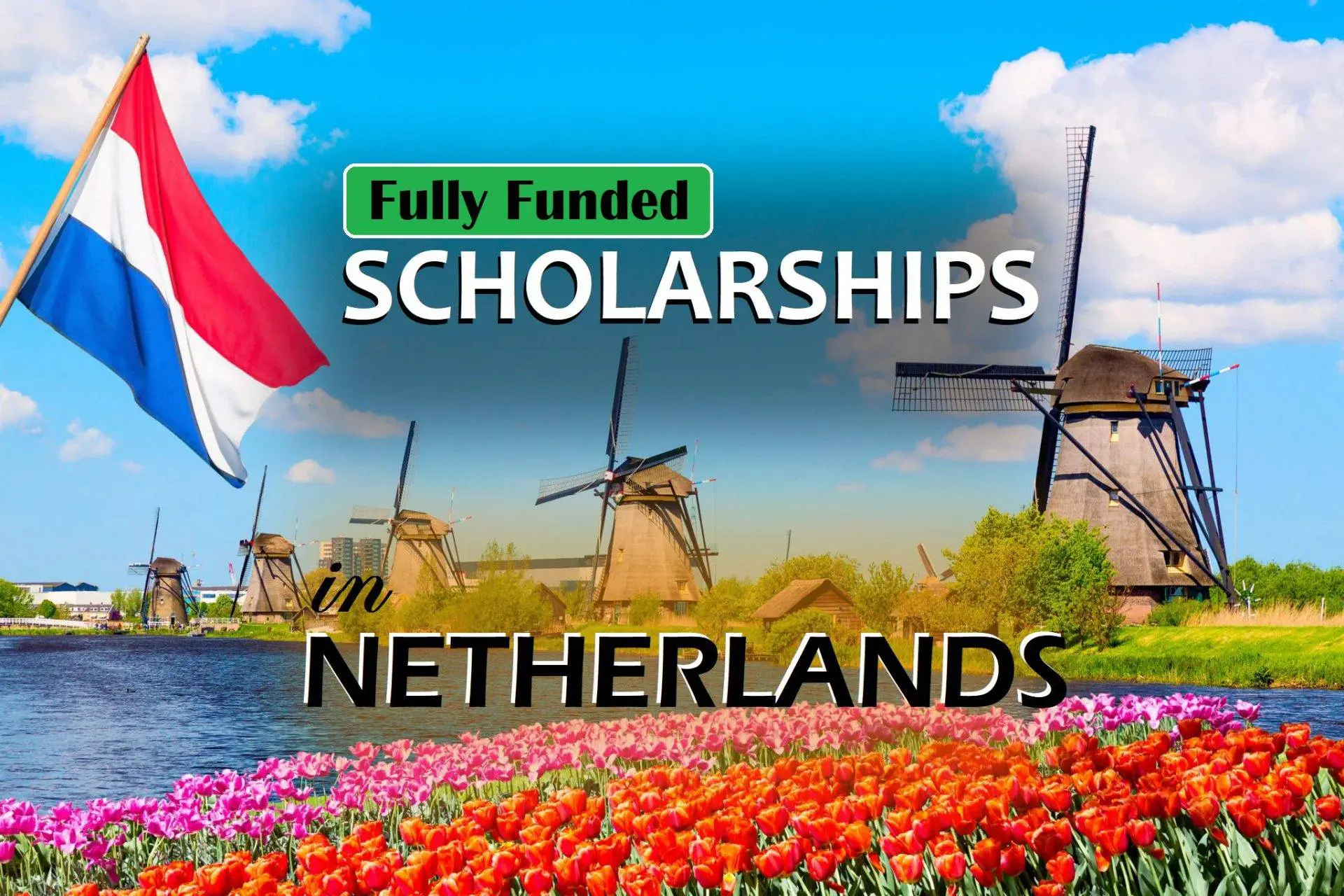 scholarships for Pakistani students in Netherlands