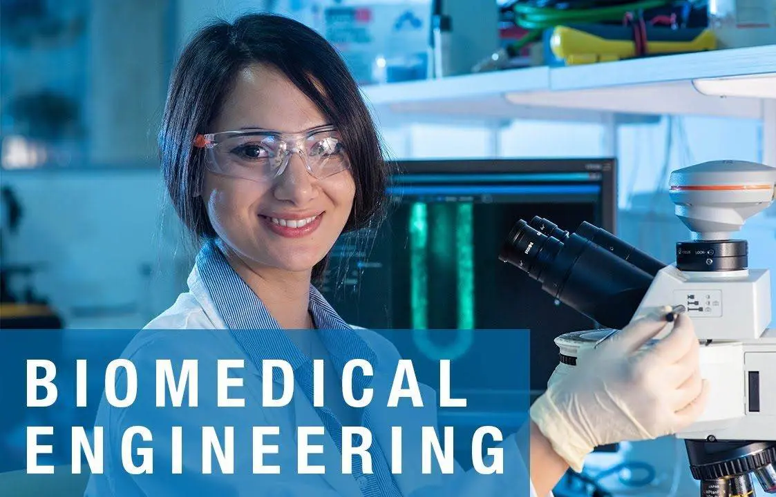 jobs after a degree in Biomedical Engineering