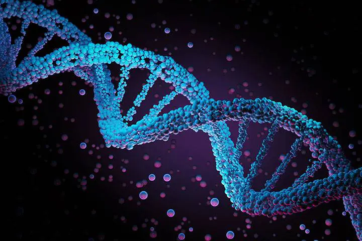 jobs after BS Bioinformatics