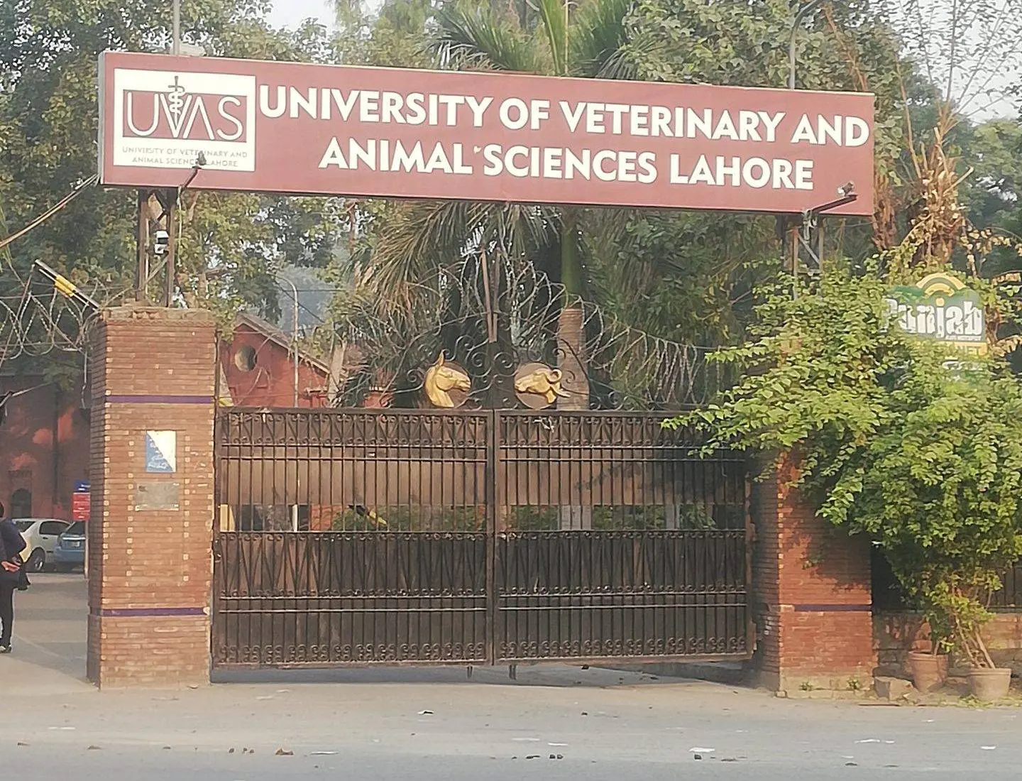 UVAS Lahore Gears Up for 20th Annual Sports Day